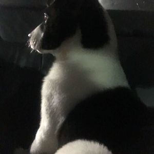 Meet your Posher, Raymond